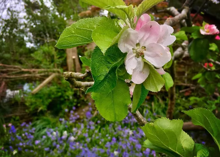 بيت للعطل Romantic Quirky With Private Garden And Parking *