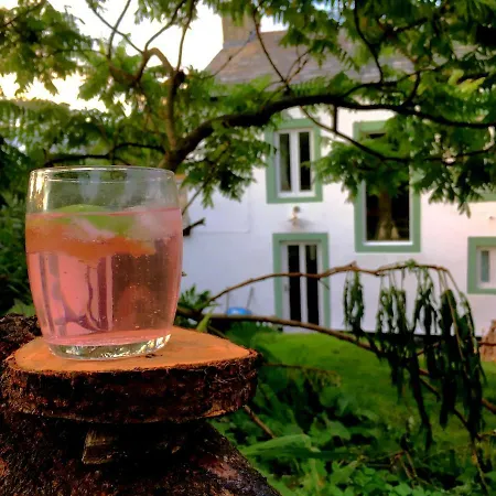 Holiday home The Tree House Cumbria, Unique, Romantic, Quirky *