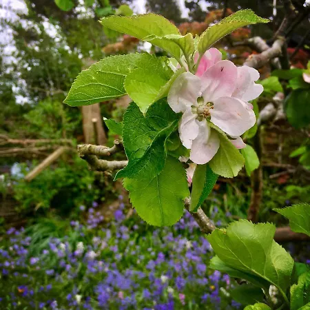 Holiday home Romantic Quirky With Private Garden And Parking *