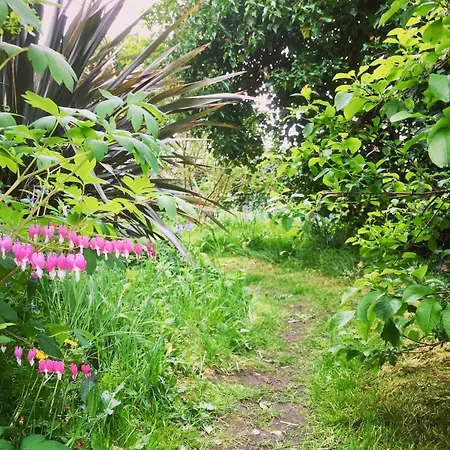 Ferienhaus Romantic Quirky With Private Garden And Parking *